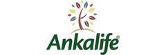 «Ankalife» ЭКО борбору, Бишкек шаары «Ankalife» ЭКО борбору, Бишкек шаары - сүрөт