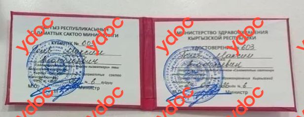 Саламаттык сактоонун мыкты кызматкери - отличник здравоохранения Голев М. А. - Саламаттык сактоонун мыкты кызматкери - отличник здравоохранения