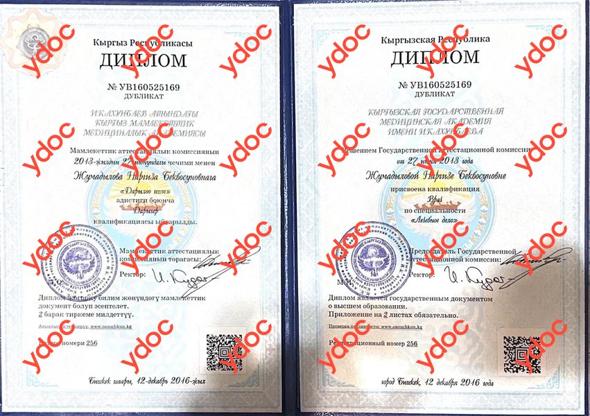 Документтер жана сүрөттөр - Жумадылова Н. Б.
