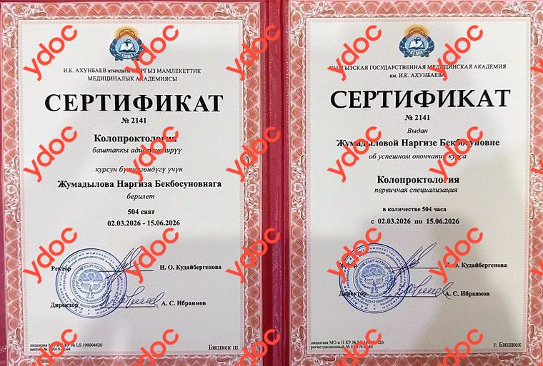 Документтер жана сүрөттөр - Жумадылова Н. Б.