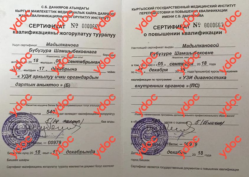 Документтер жана сүрөттөр - Мадылканова З. Ш.