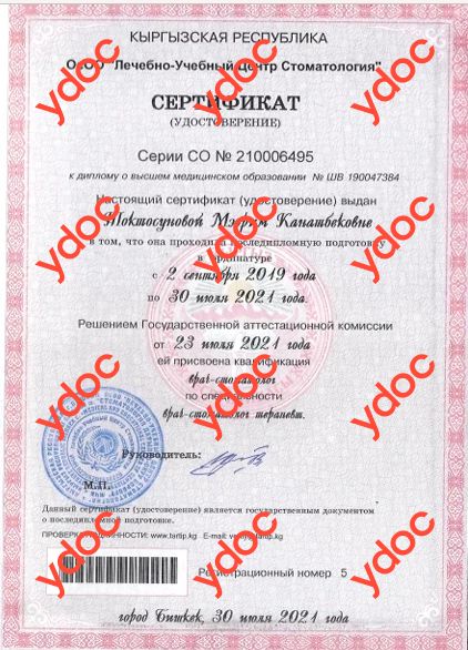 Документы и фотографии - Токтосунова М. К.