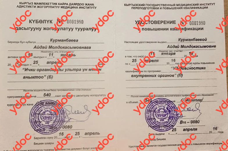 Документы и фотографии - Курманбаева А. М.
