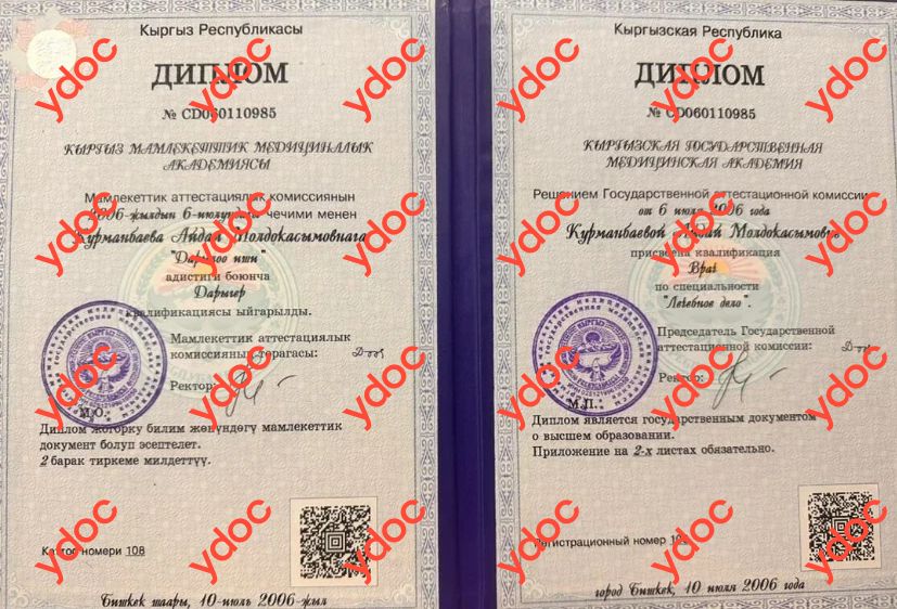 Документы и фотографии - Курманбаева А. М.