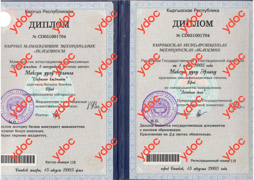 Документы и фотографии - Максут Уулу Э.