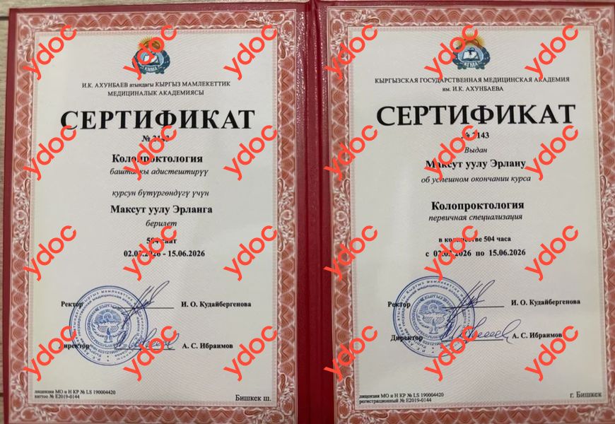 Документы и фотографии - Максут Уулу Э.