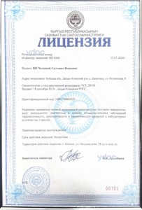 Лицензия Лицензия