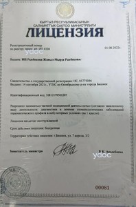 Лицензия Лицензия