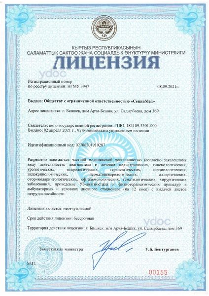 Лицензия Лицензия