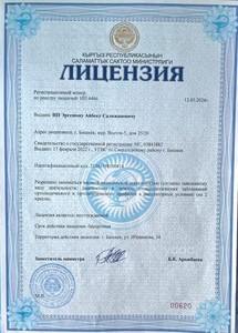 Лицензия