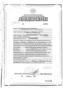 Лицензия Лицензия