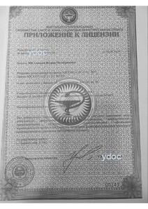 Лицензия Лицензия