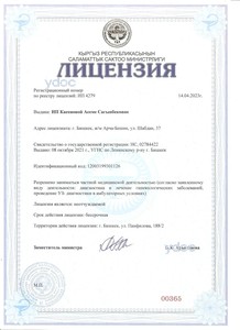 Лицензия