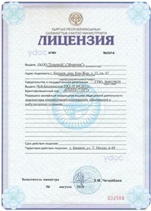 Лицензия Лицензия