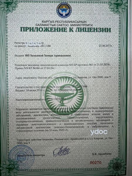 Лицензия Лицензия