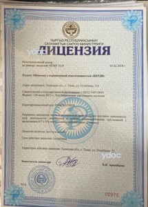 Лицензия