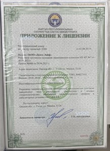 Приложение к лицензии